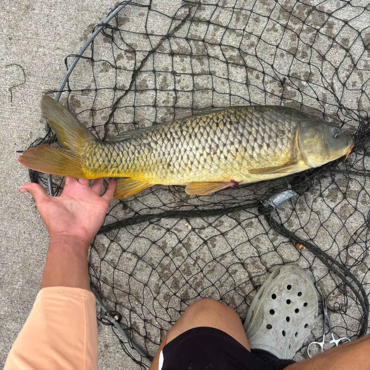 catch