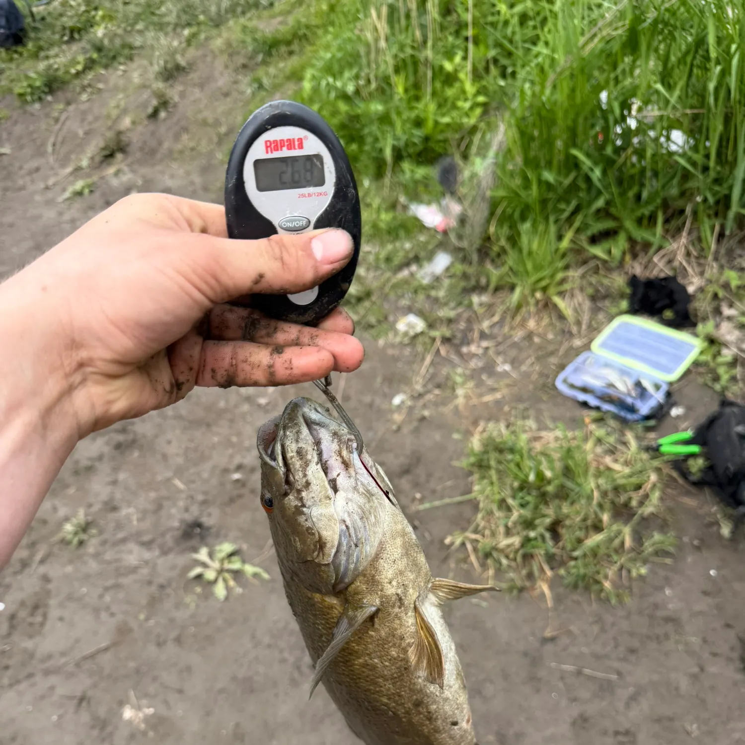 catch