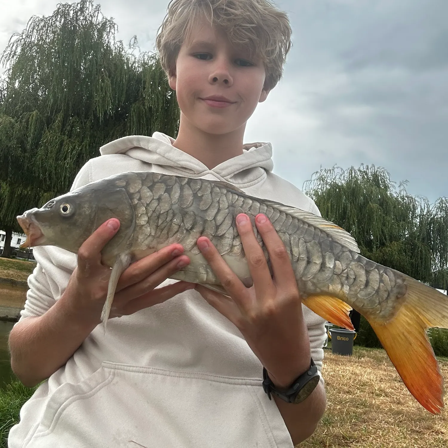 Mirror carp caught on Fishbrain