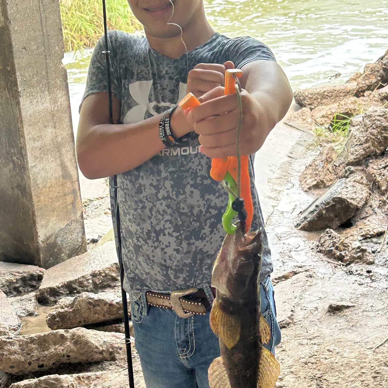 The most recent Fat Sleeper catches on Fishbrain