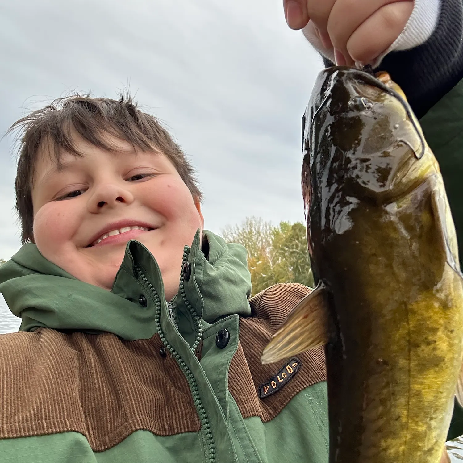 Yellow bullhead caught on Fishbrain