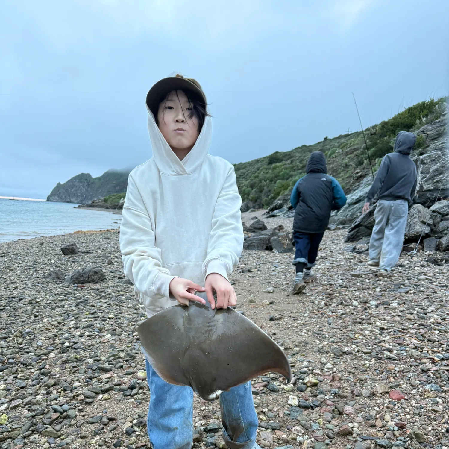 The most recent Bat eagle ray catches on Fishbrain