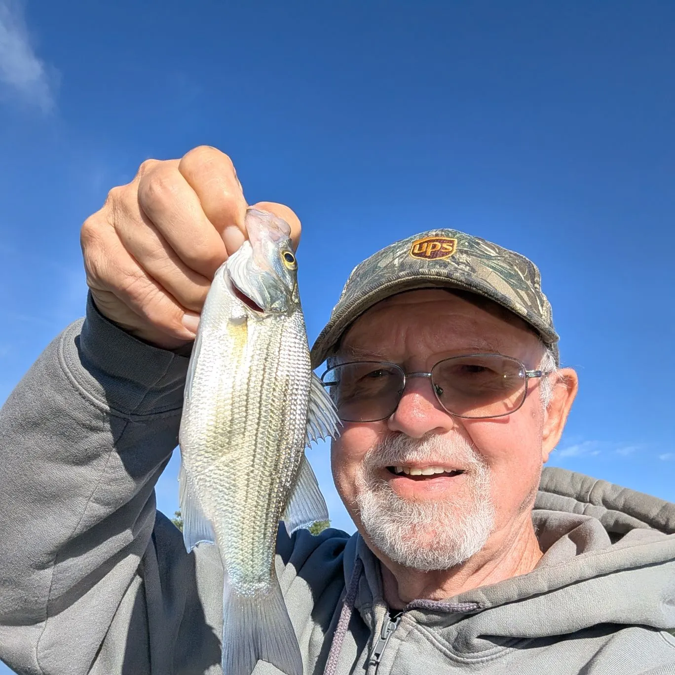 White bass caught on Fishbrain