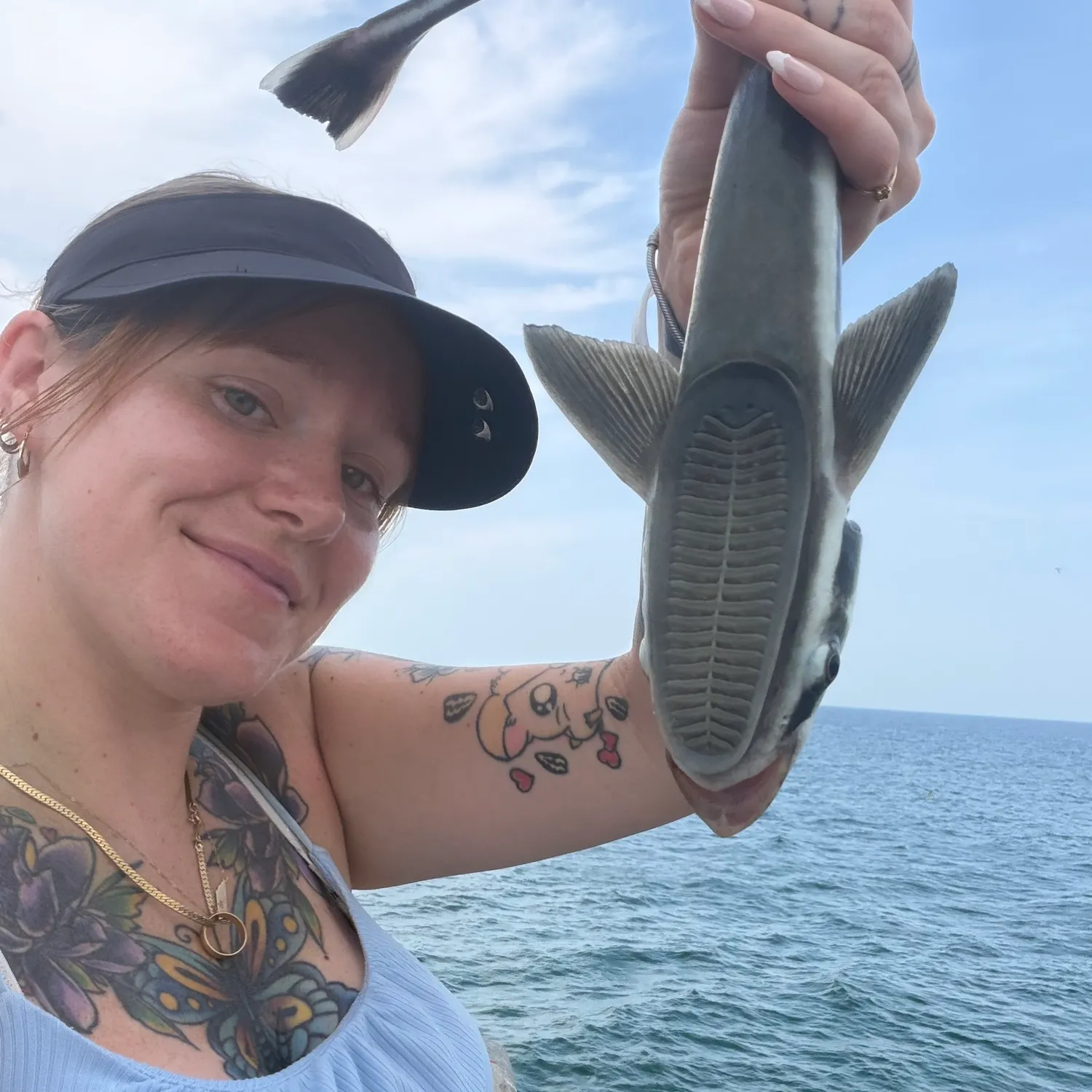 The most recent Common remora catches on Fishbrain