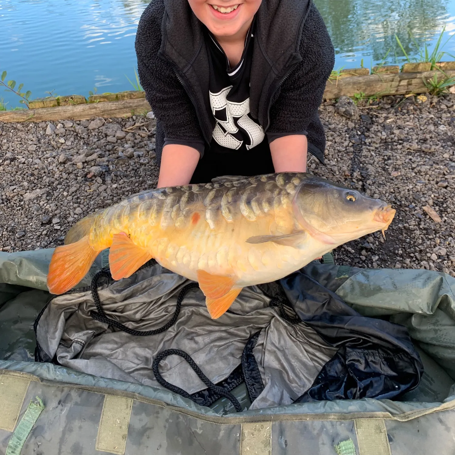 Mirror carp caught on Fishbrain