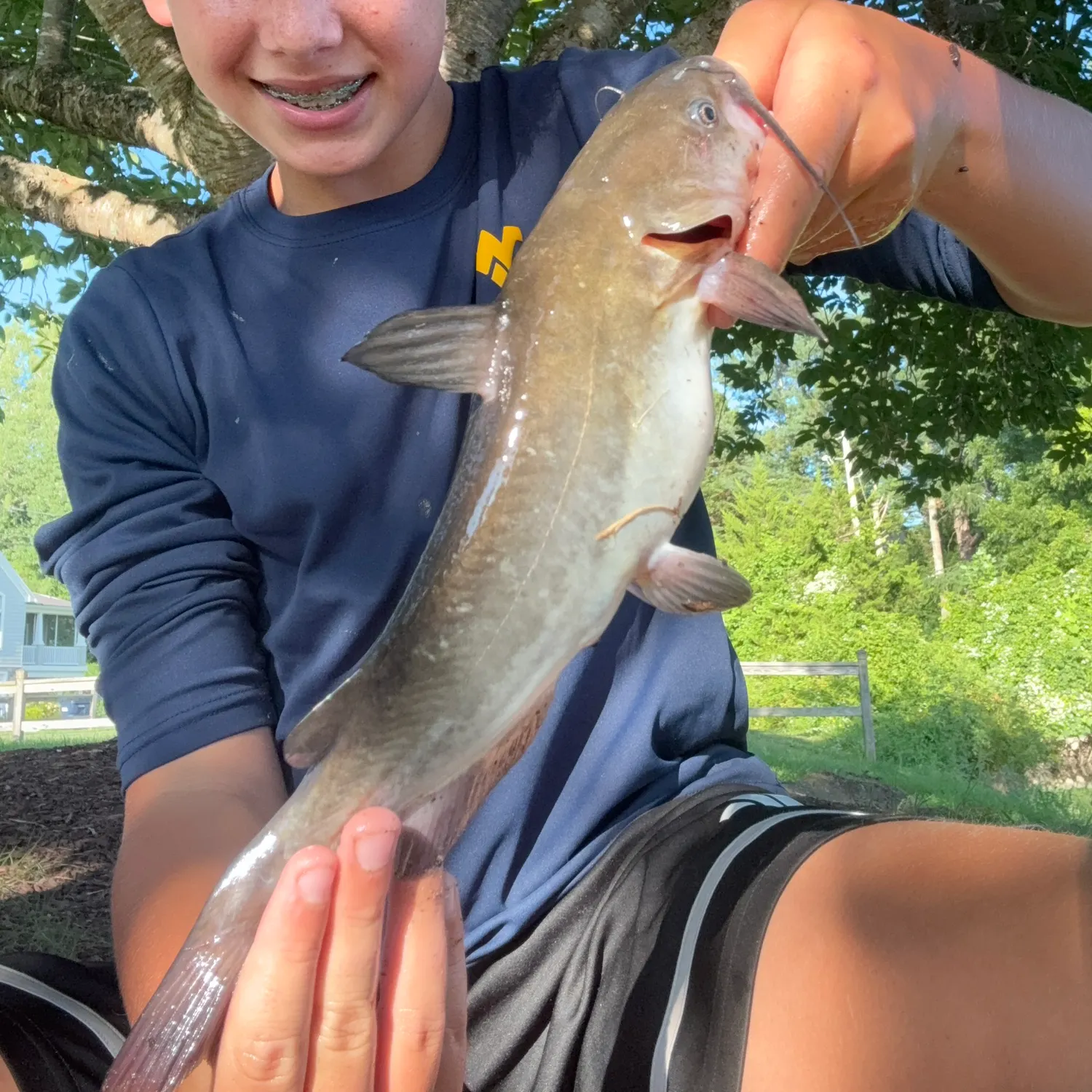 Channel catfish caught on Fishbrain