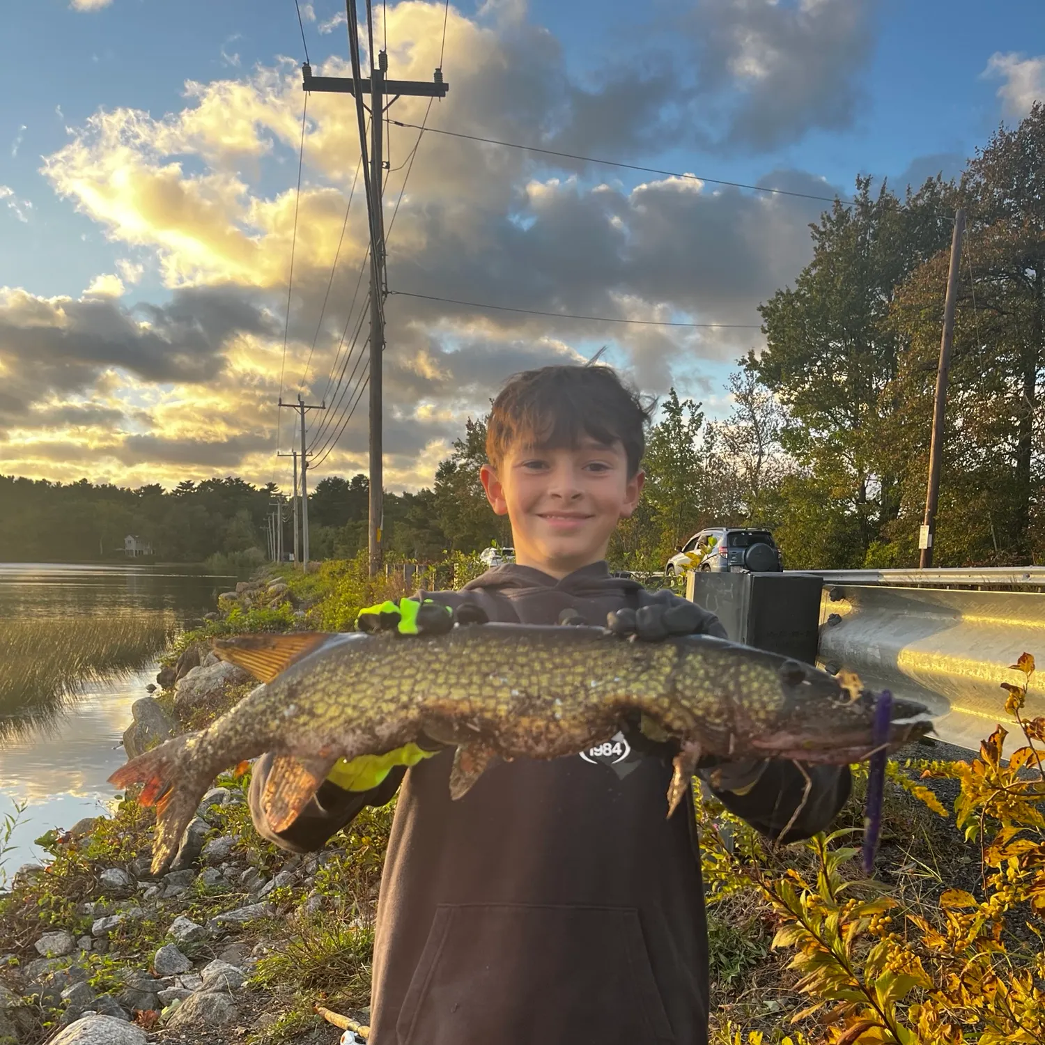 Northern pike caught on Fishbrain
