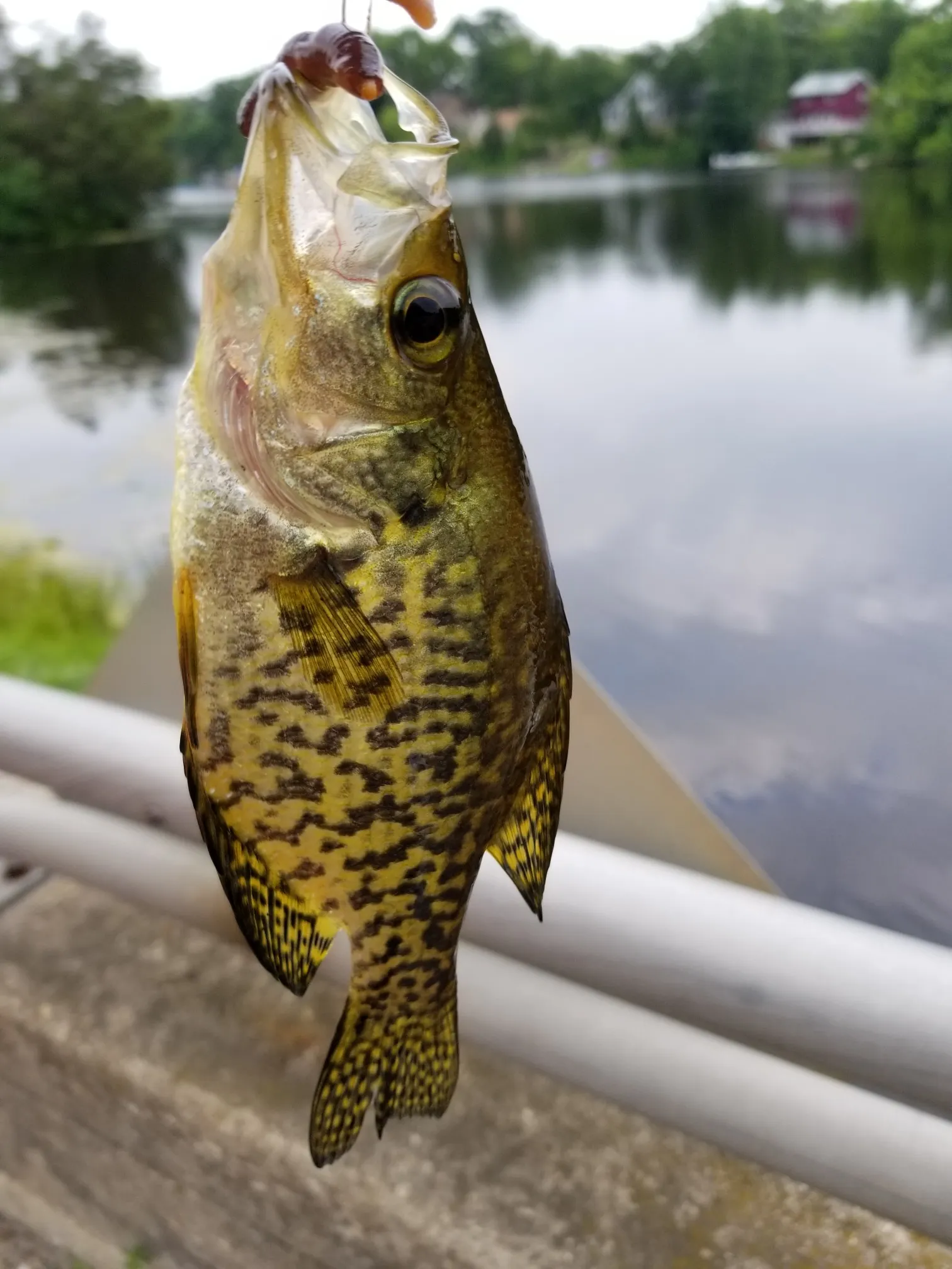 Post image from Docklady