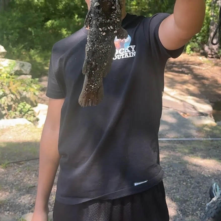 Black bullhead caught on Fishbrain