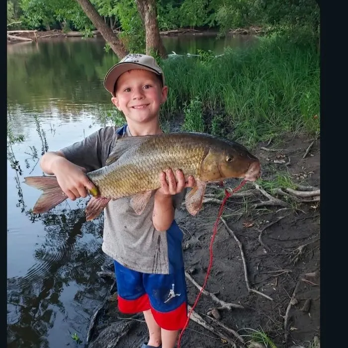 The most recent Greater redhorse catches on Fishbrain