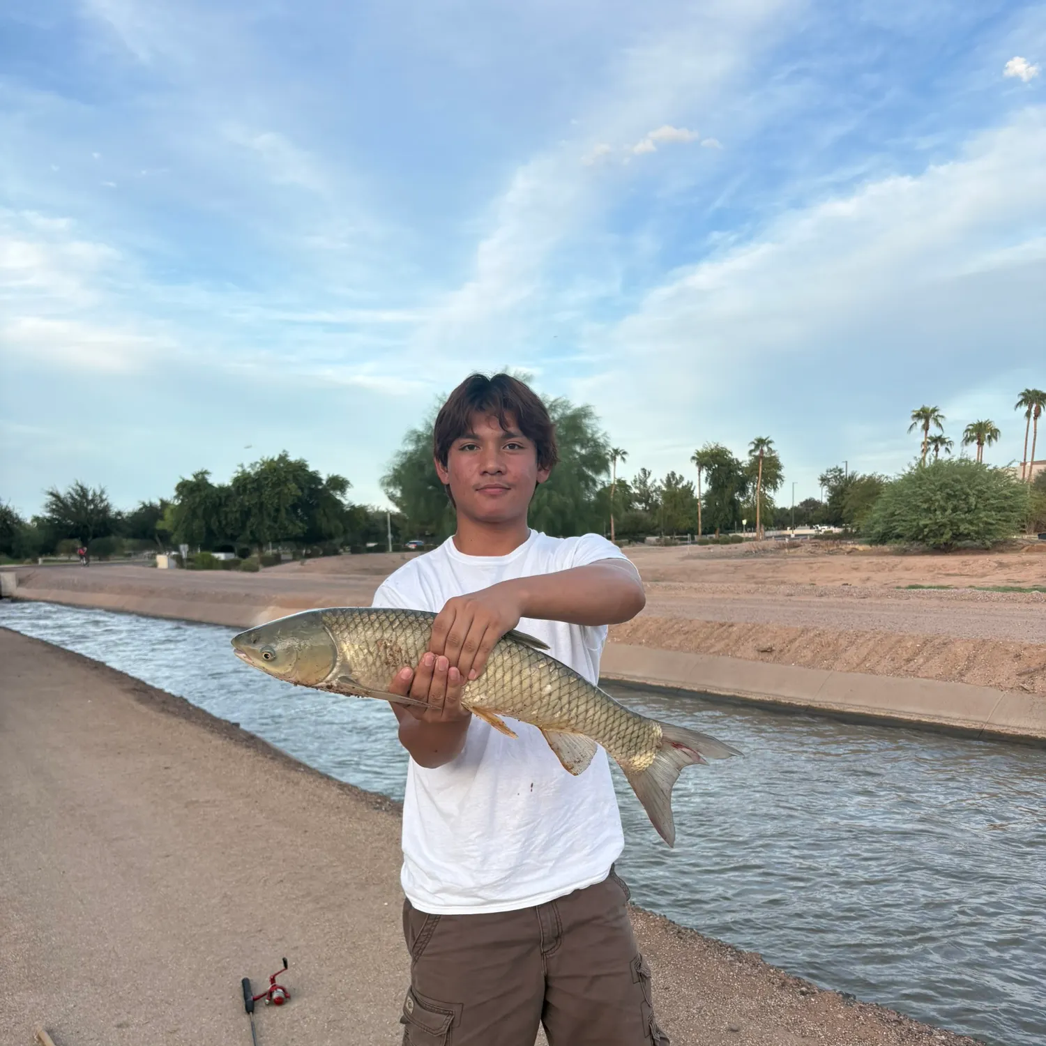 Grass carp caught on Fishbrain