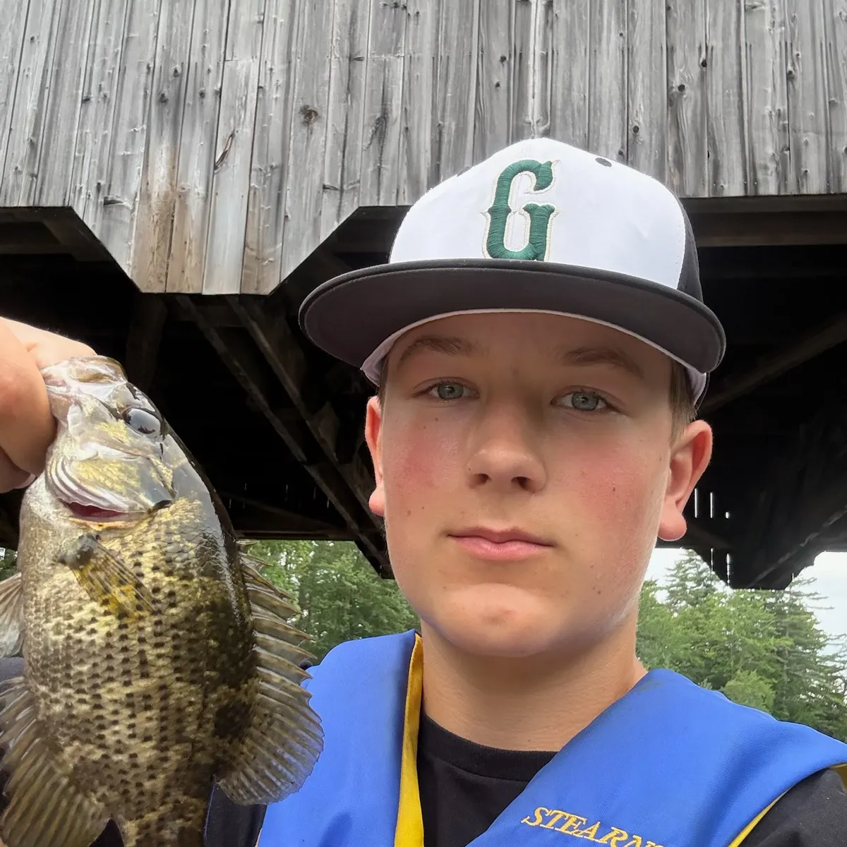 Rock bass caught on Fishbrain