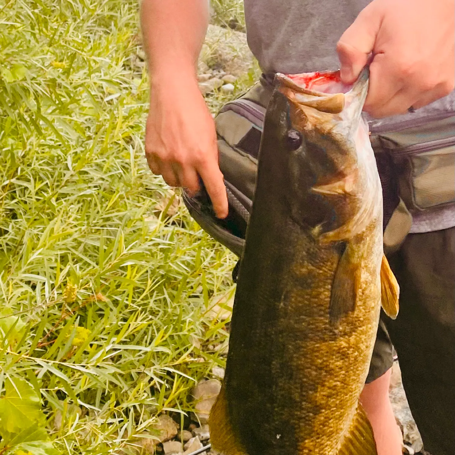 catch