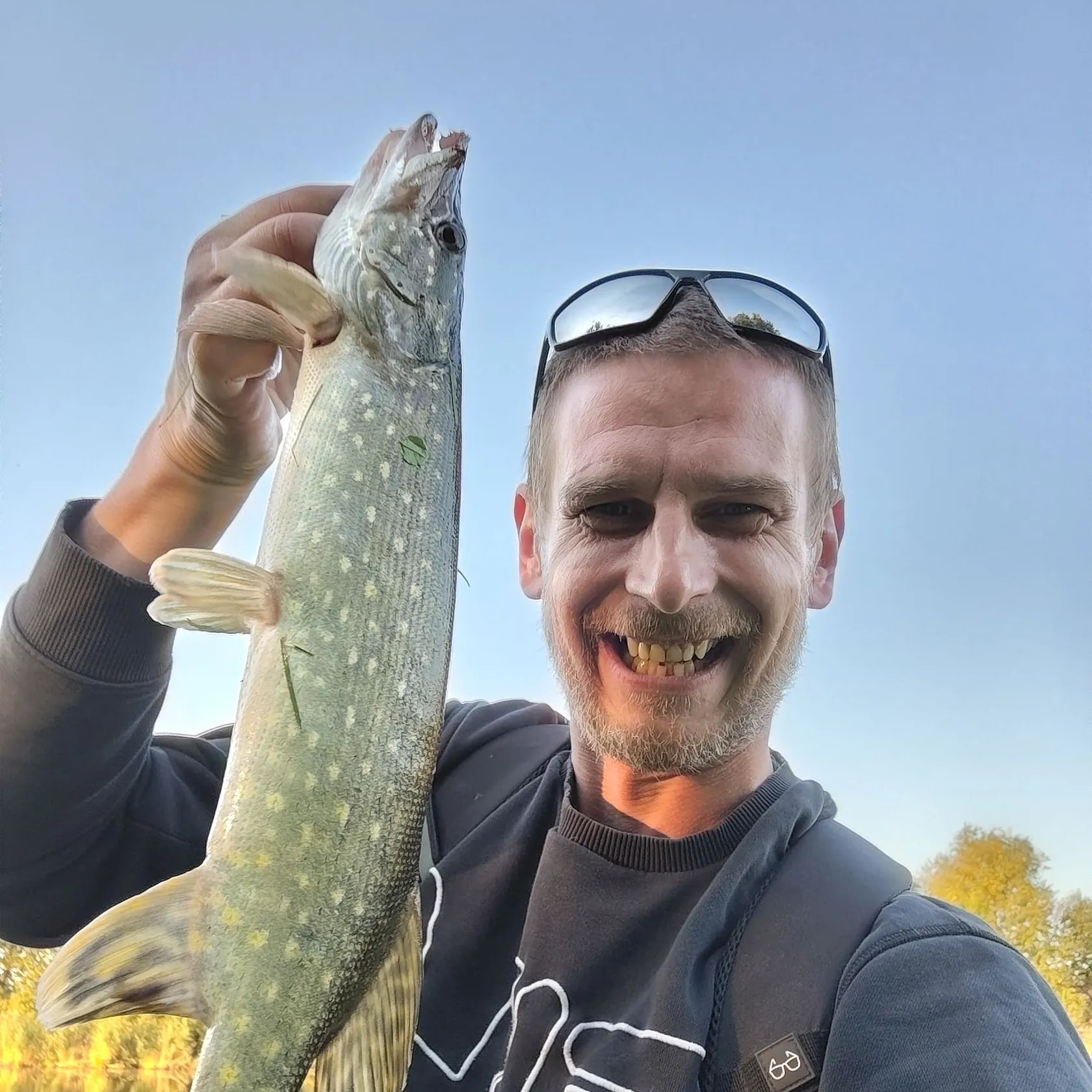 Northern pike caught on Fishbrain