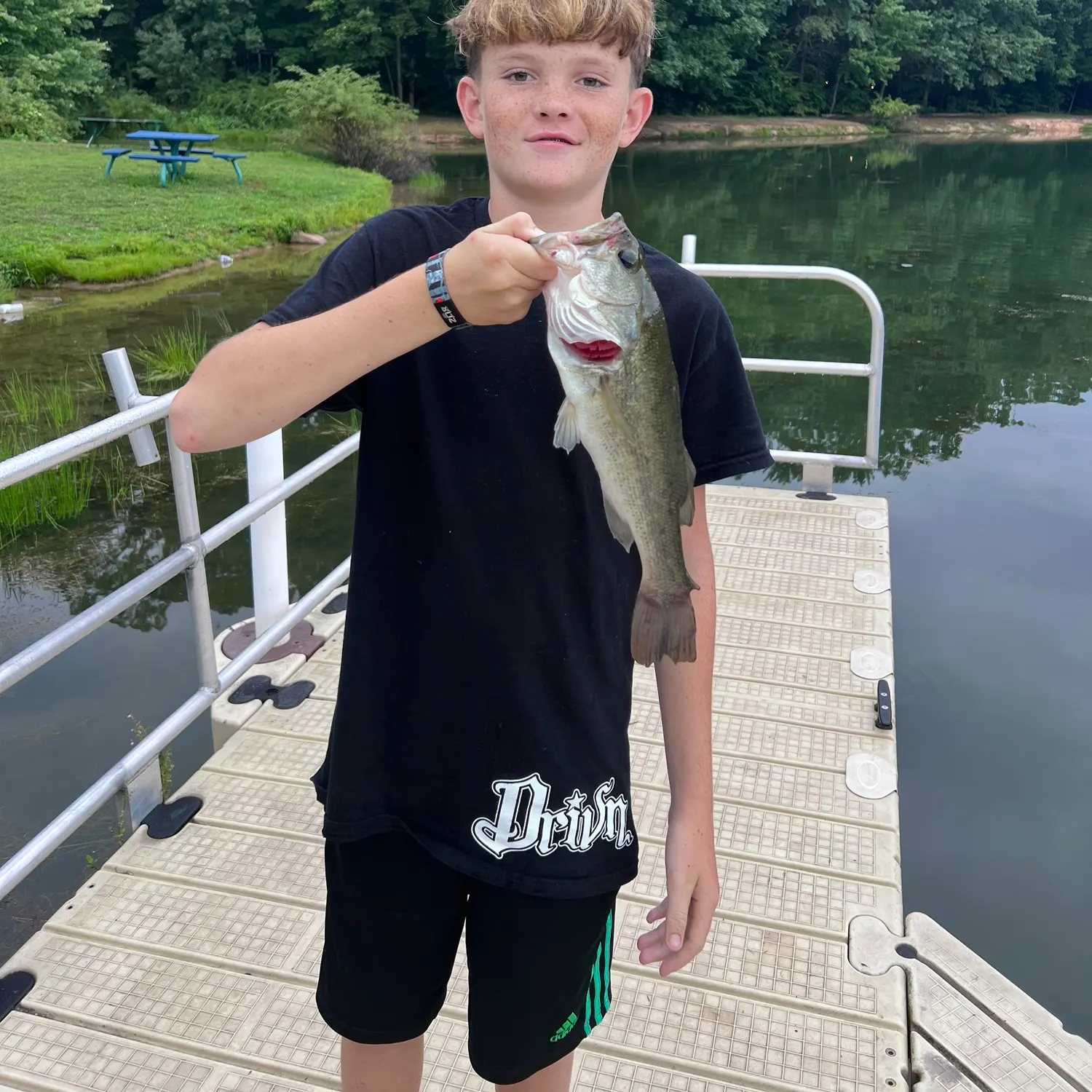 Largemouth bass caught on Fishbrain