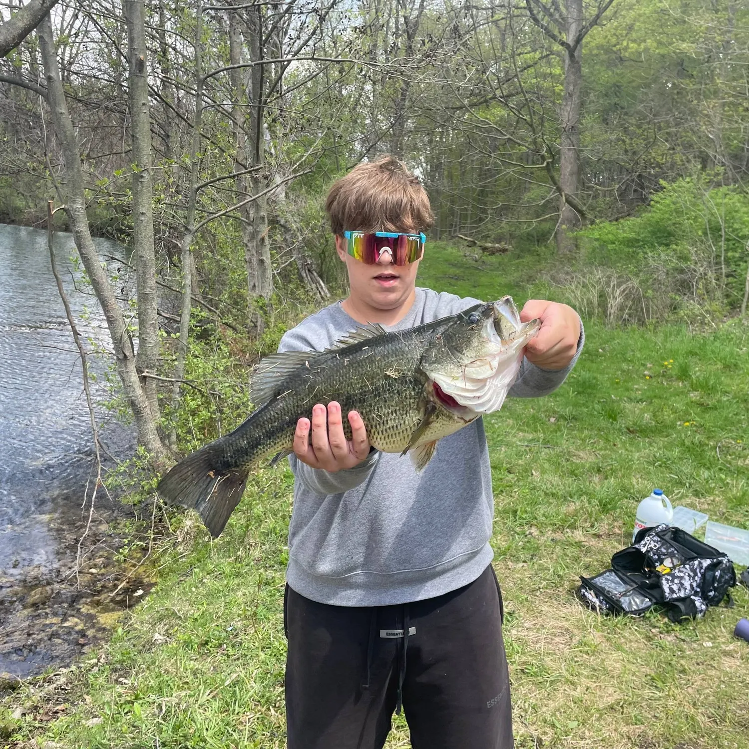 Largemouth bass caught on Fishbrain