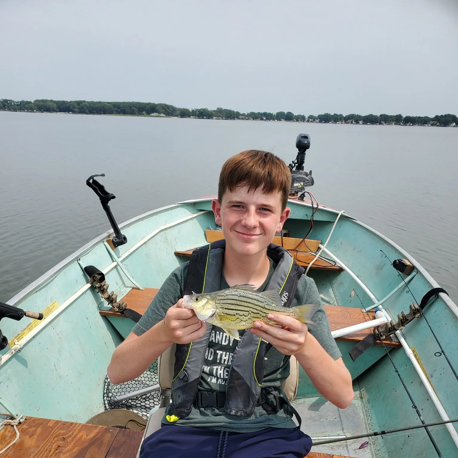 The most recent Yellow bass catches on Fishbrain