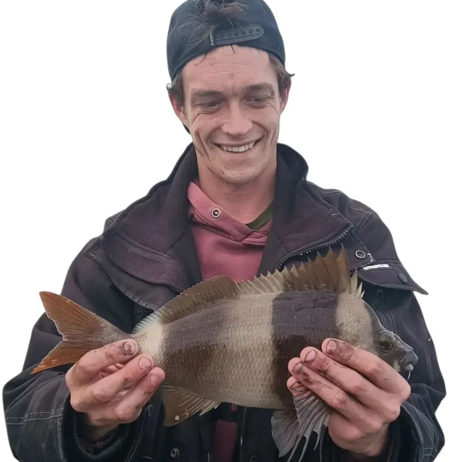 The most recent Magpie perch catches on Fishbrain
