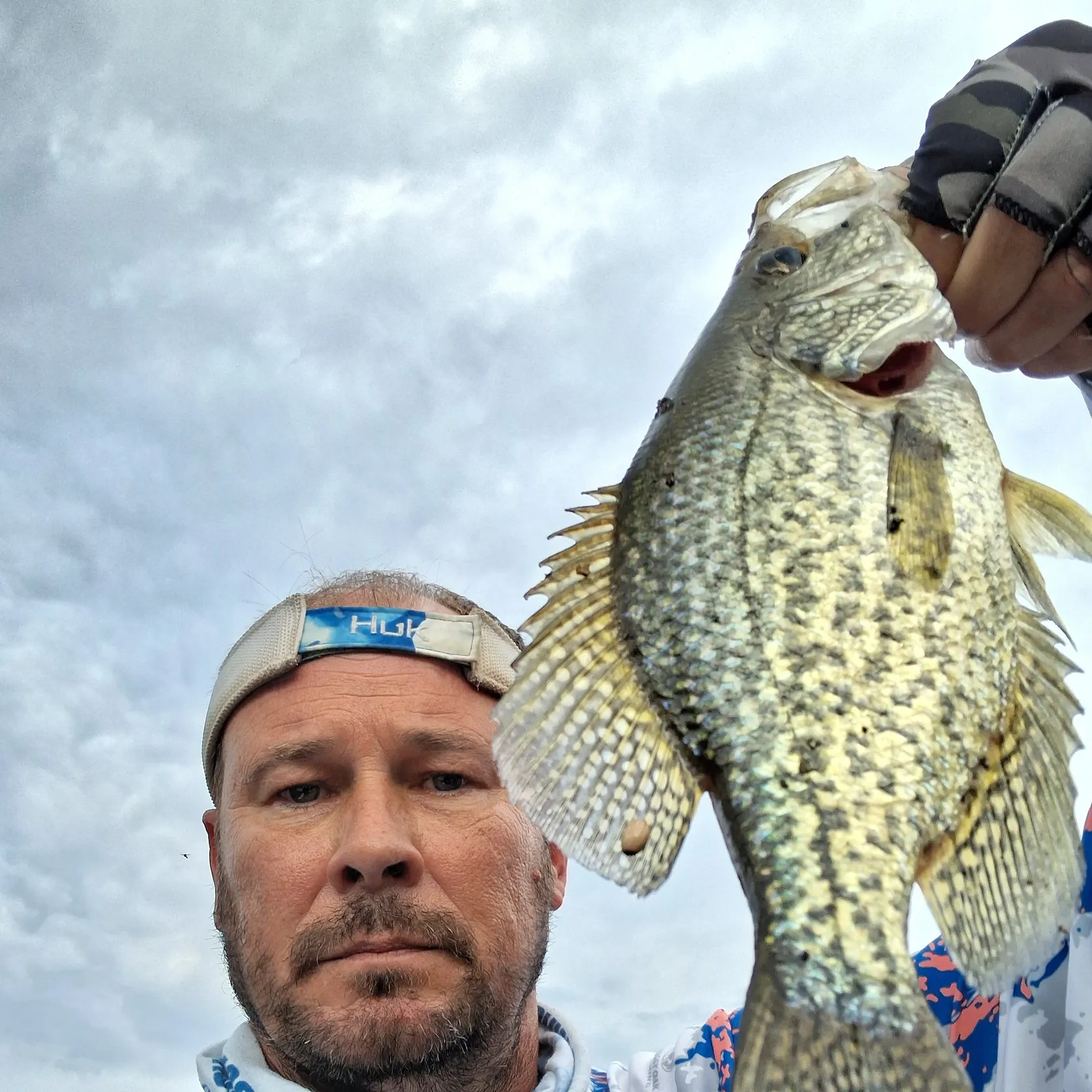 Black crappie caught on Fishbrain