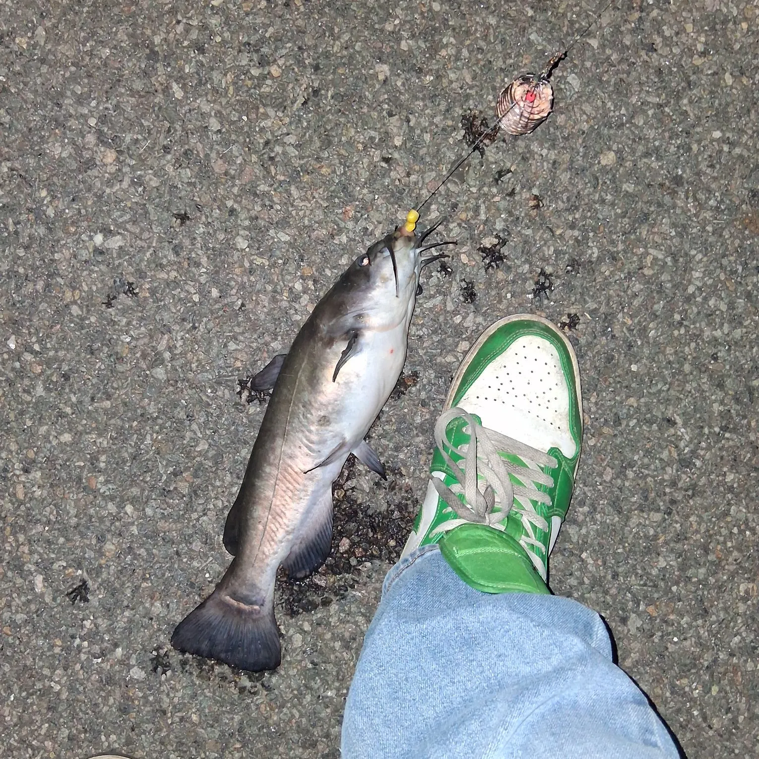 catch