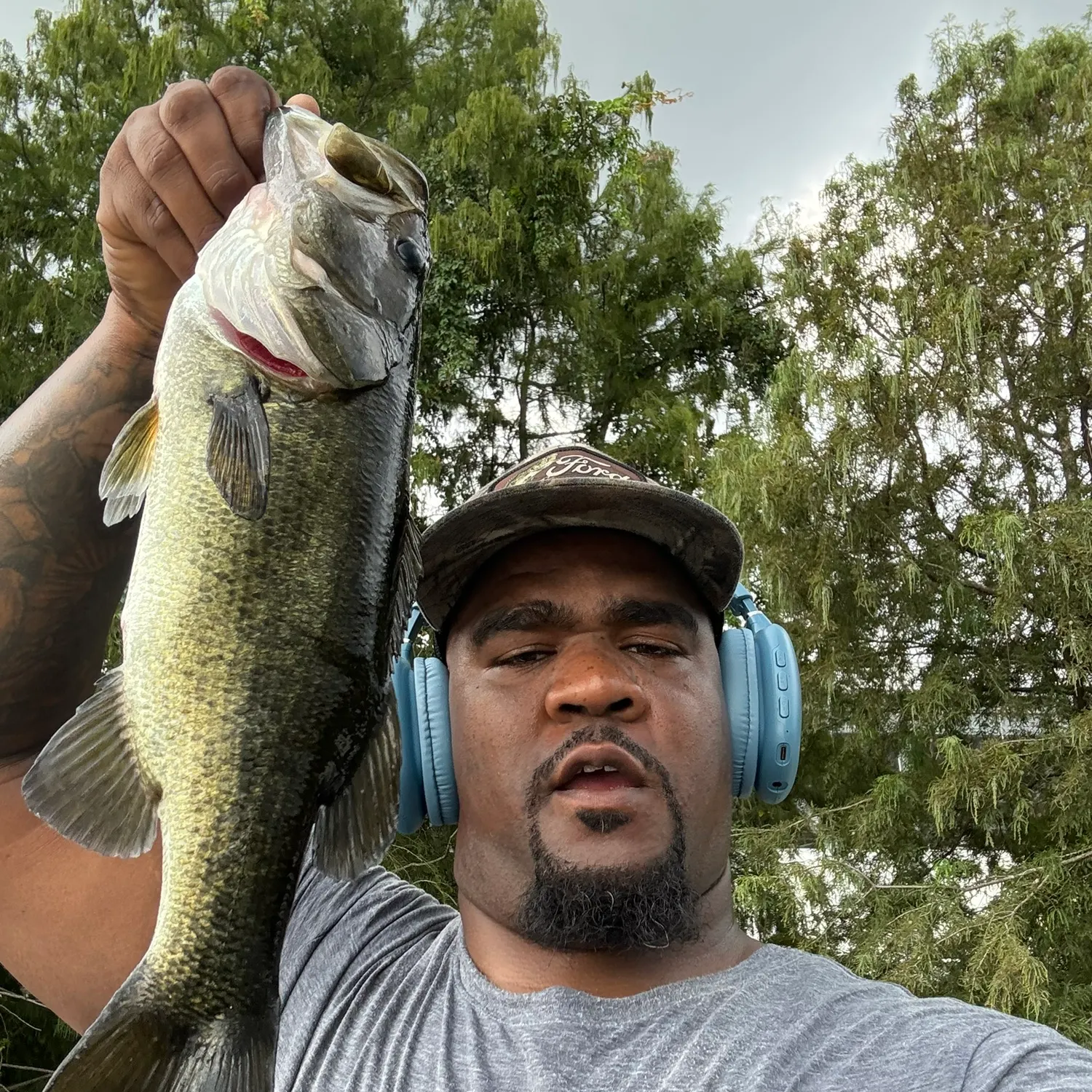 Largemouth bass caught on Fishbrain