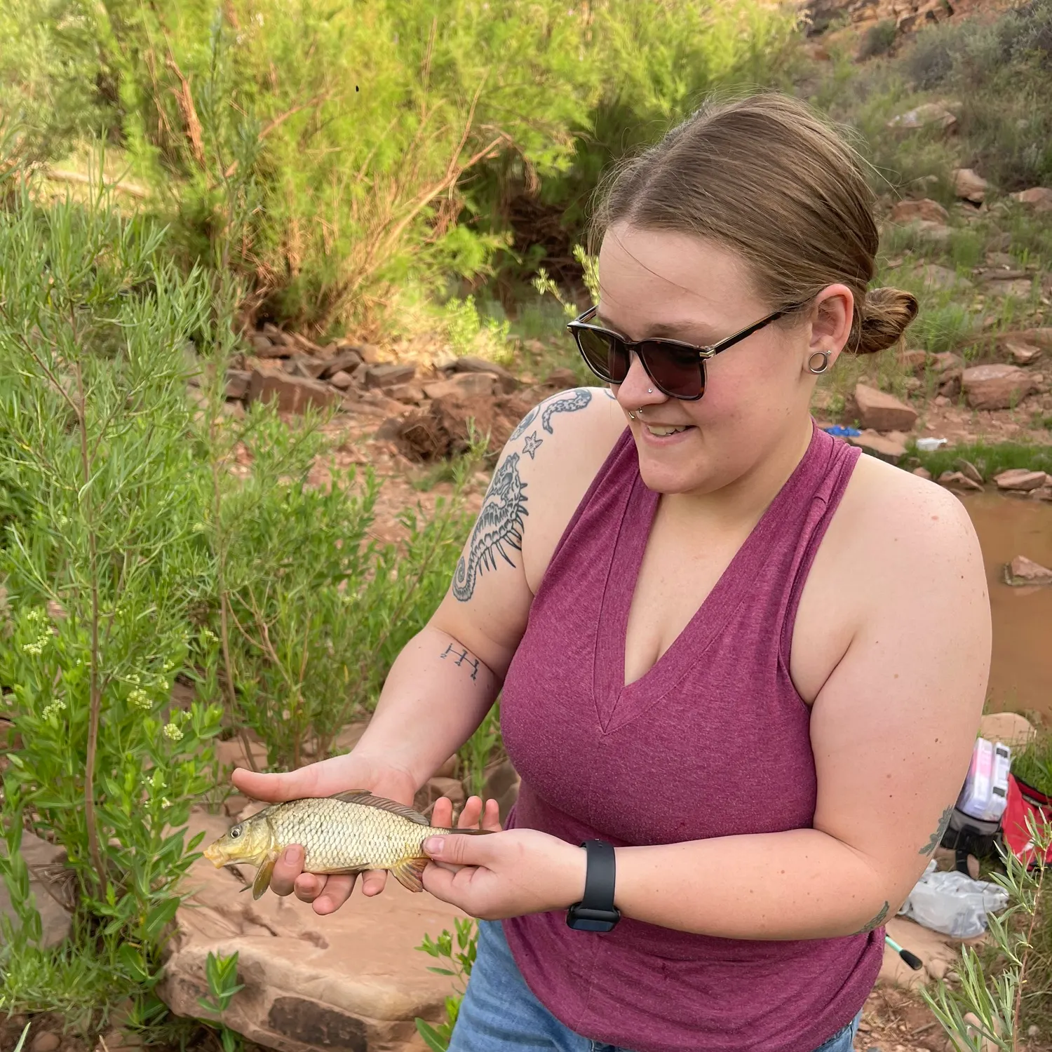 recently logged catches