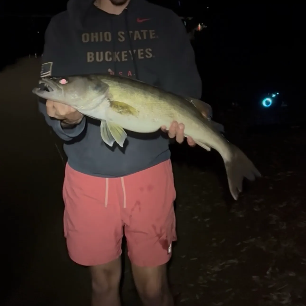 Walleye caught on Fishbrain