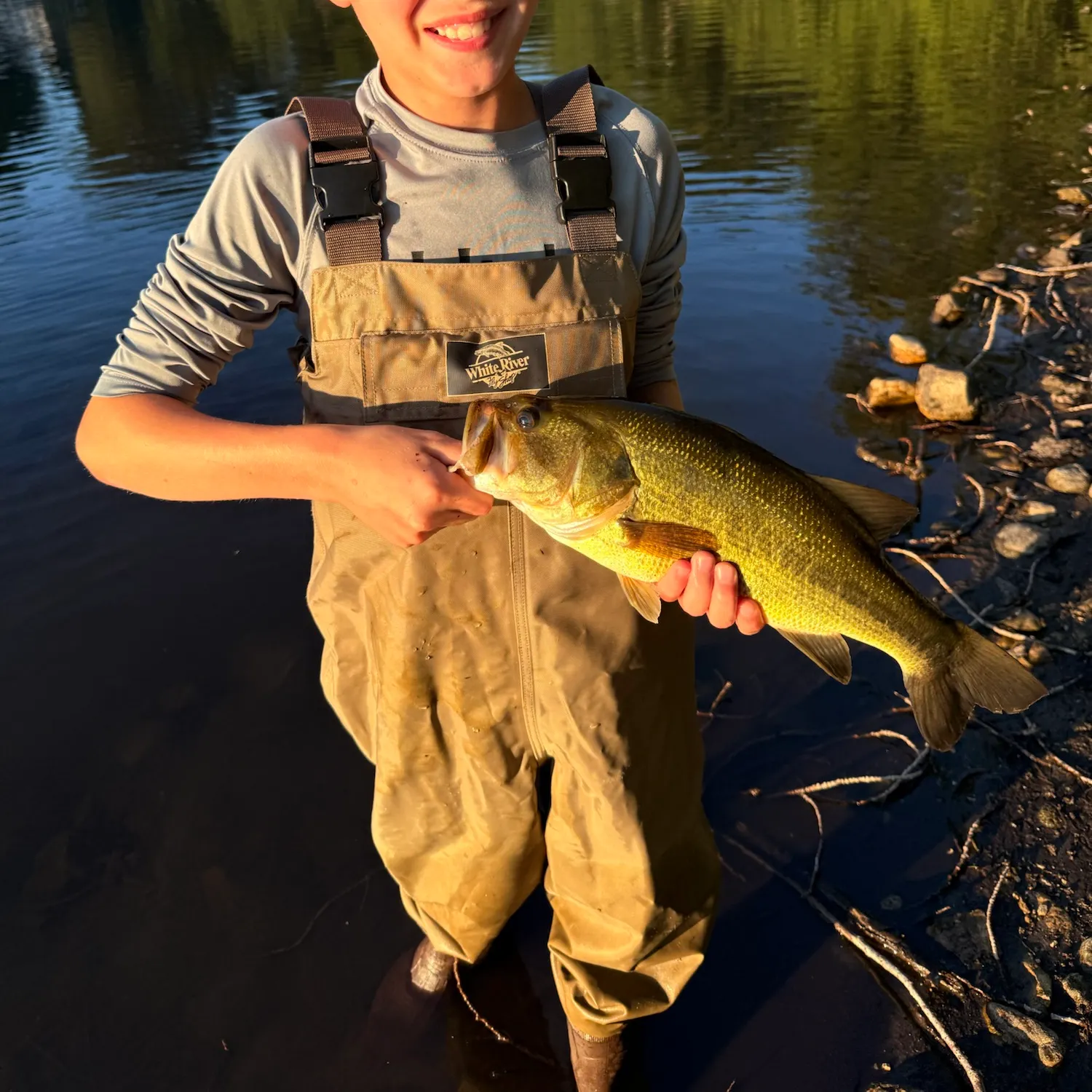 Largemouth bass caught on Fishbrain