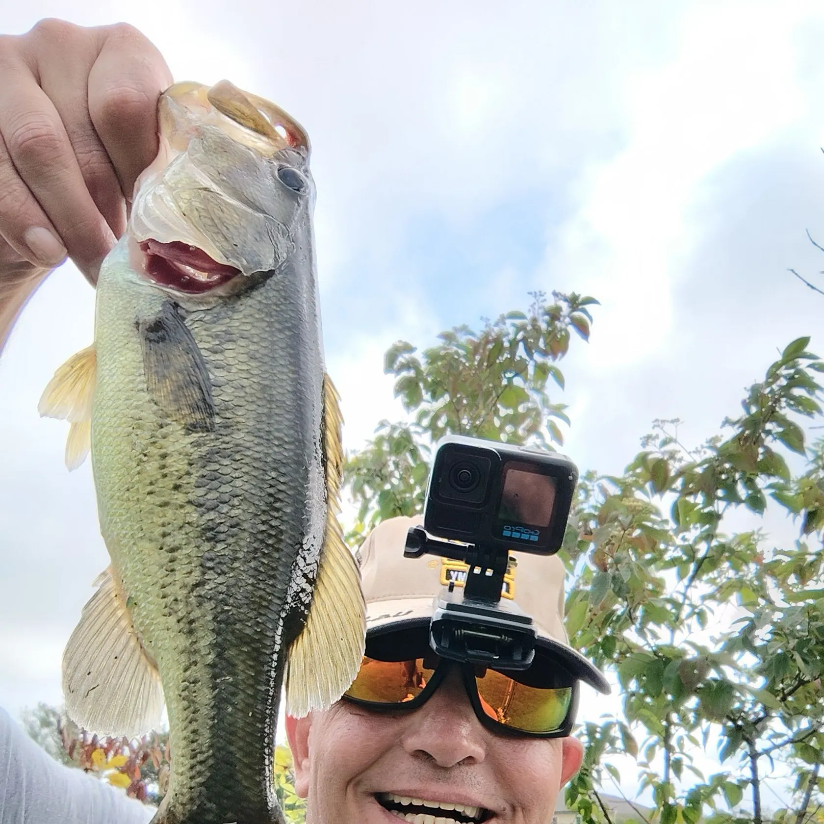 Largemouth bass caught on Fishbrain