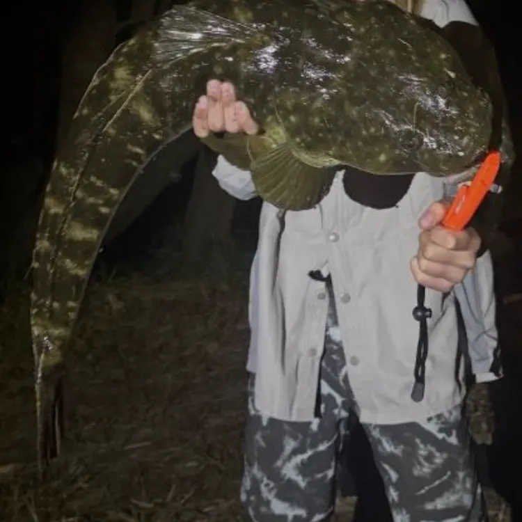 Dusky flathead caught on Fishbrain