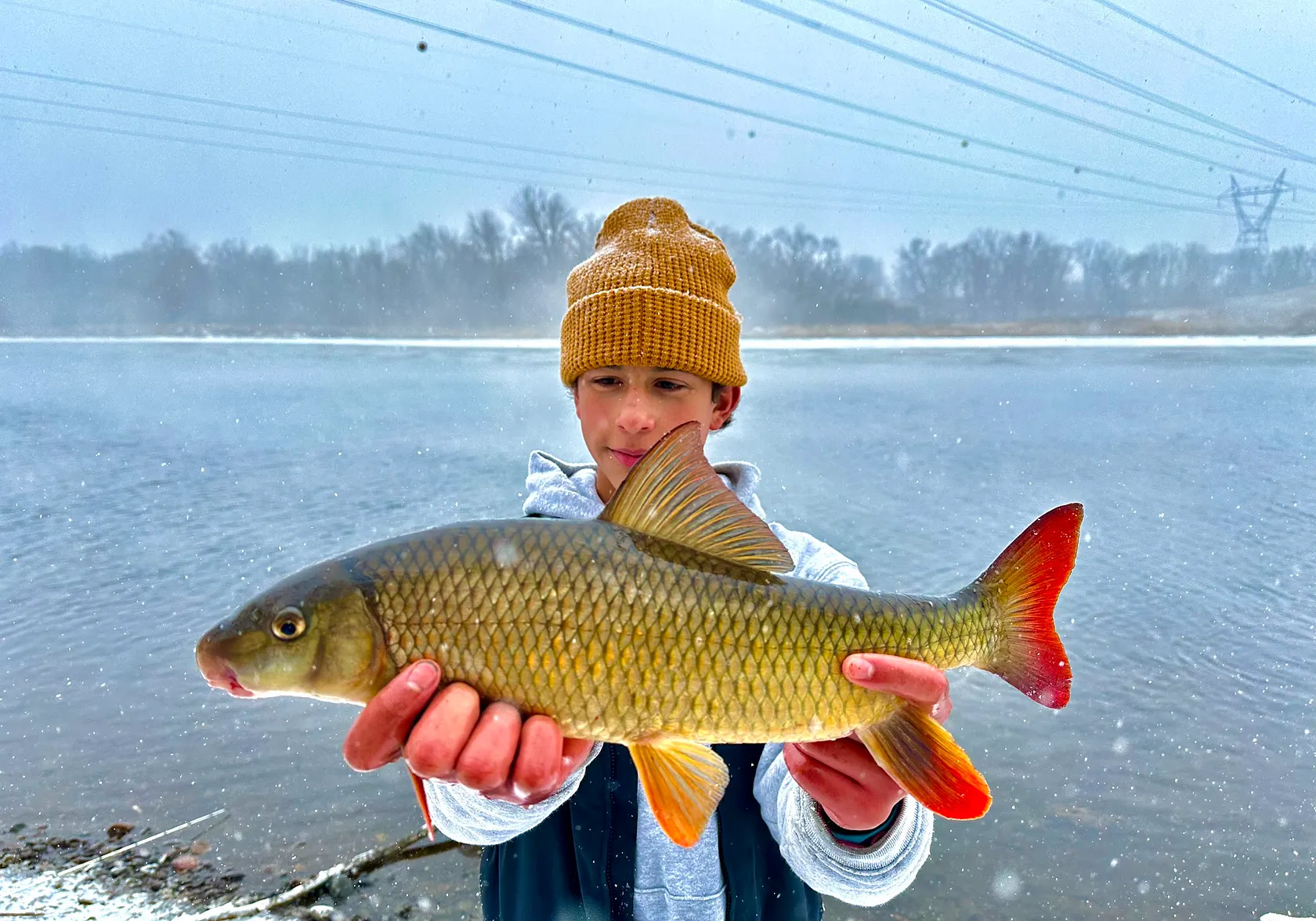 Shorthead redhorse