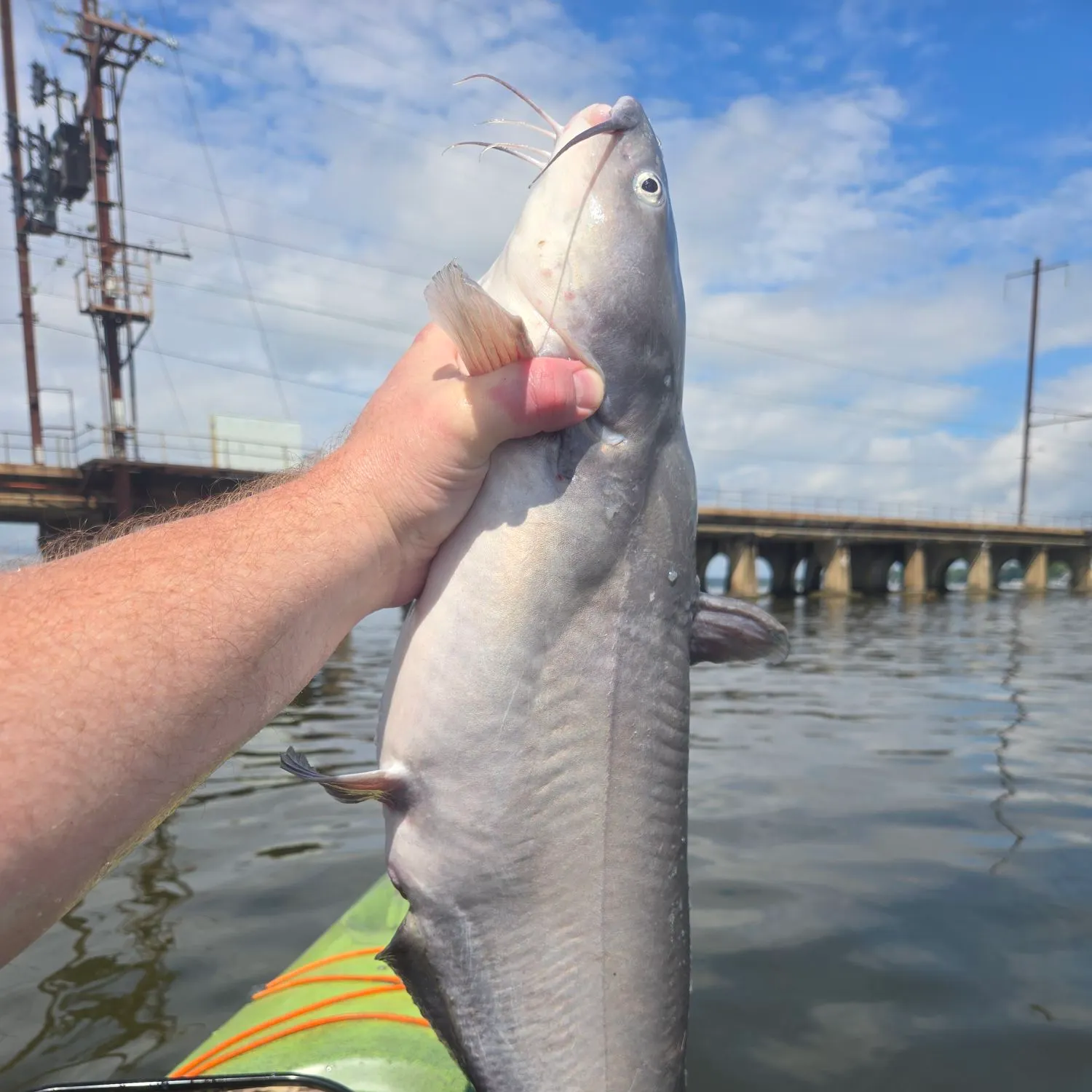 Fish caught on Fishbrain