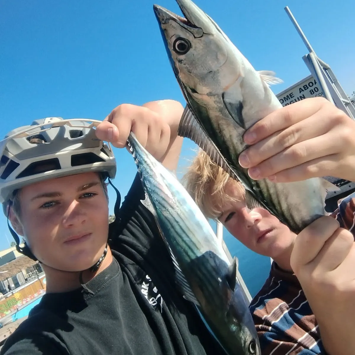 Pacific bonito caught on Fishbrain