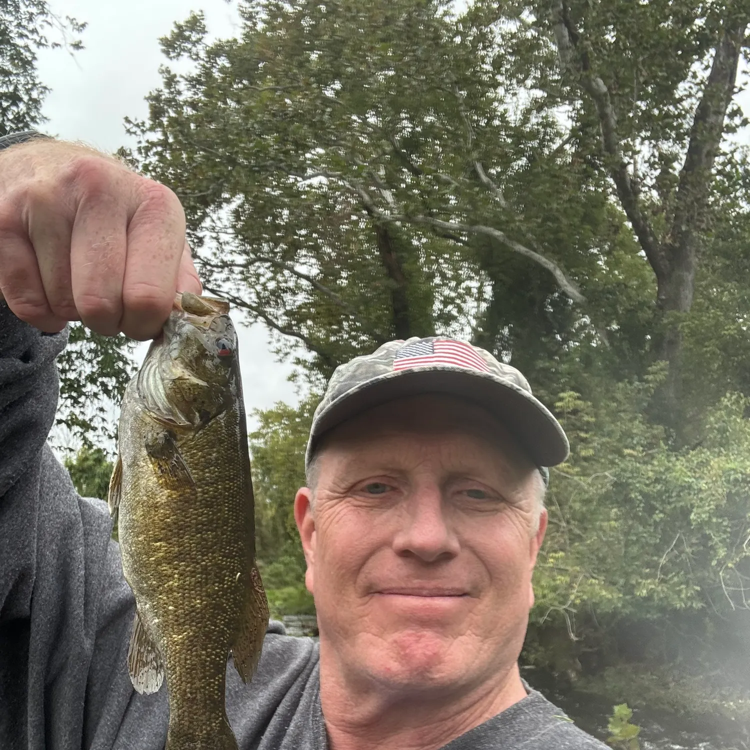 Smallmouth bass caught on Fishbrain