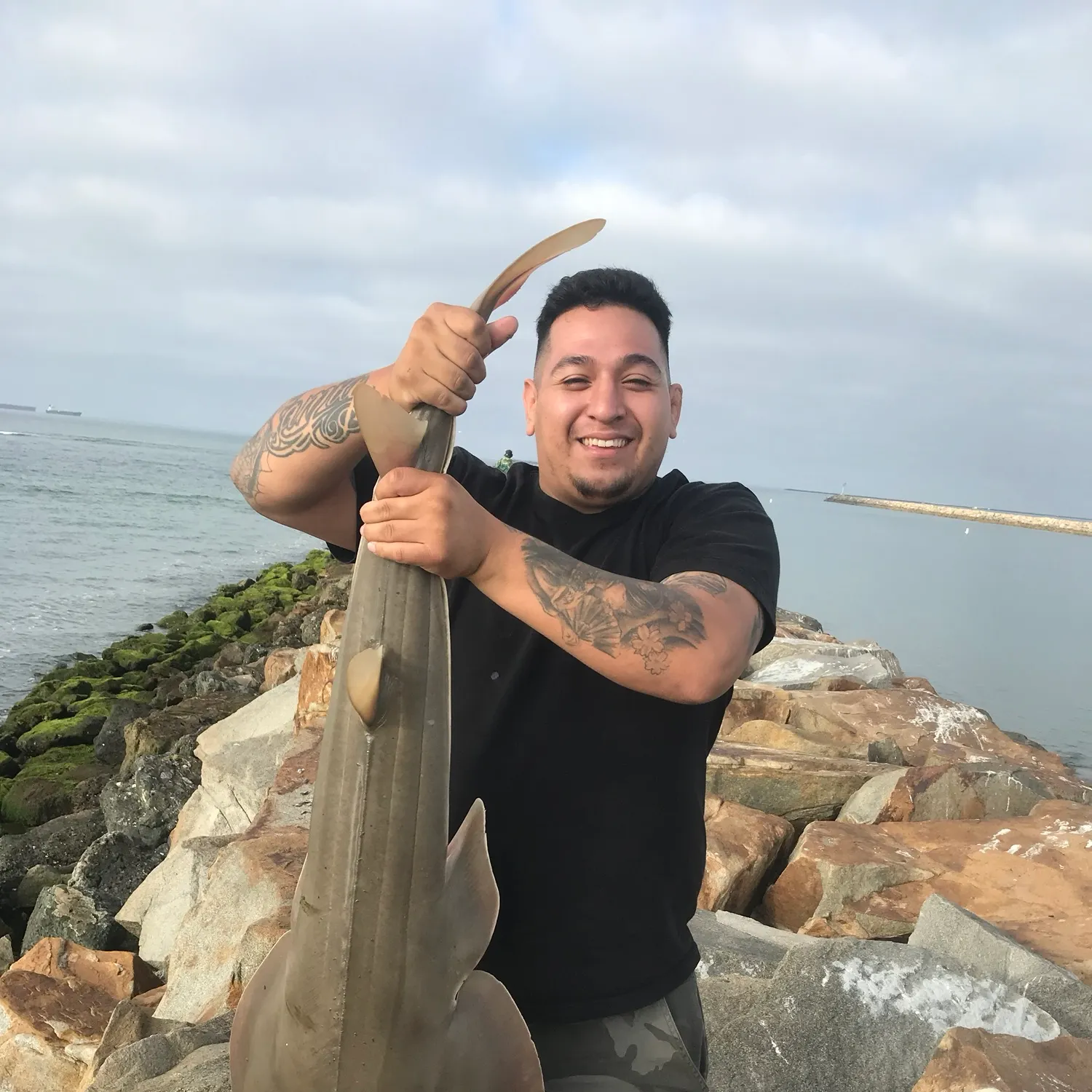 The most recent Pacific shovelnose guitarfish catches on Fishbrain