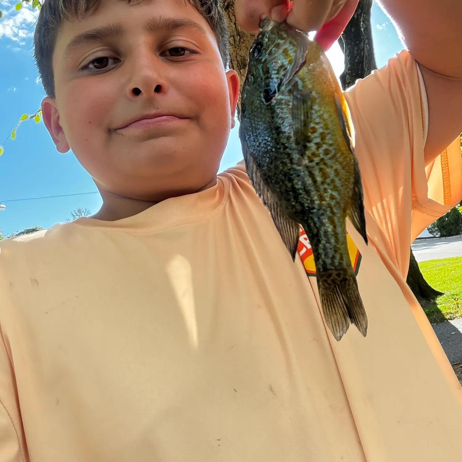 Pumpkinseed caught on Fishbrain