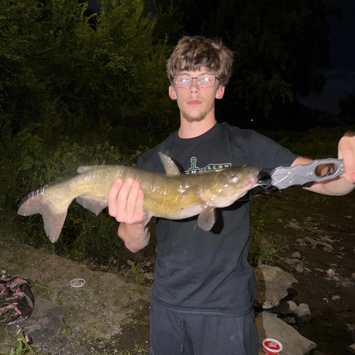 Channel catfish caught on Fishbrain