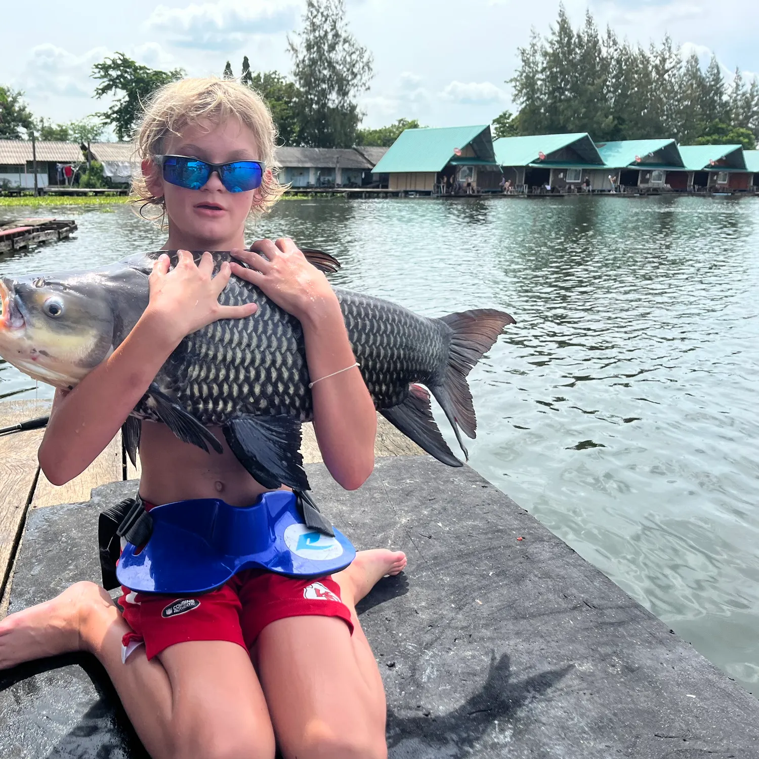 The most recent Siamese carp catches on Fishbrain