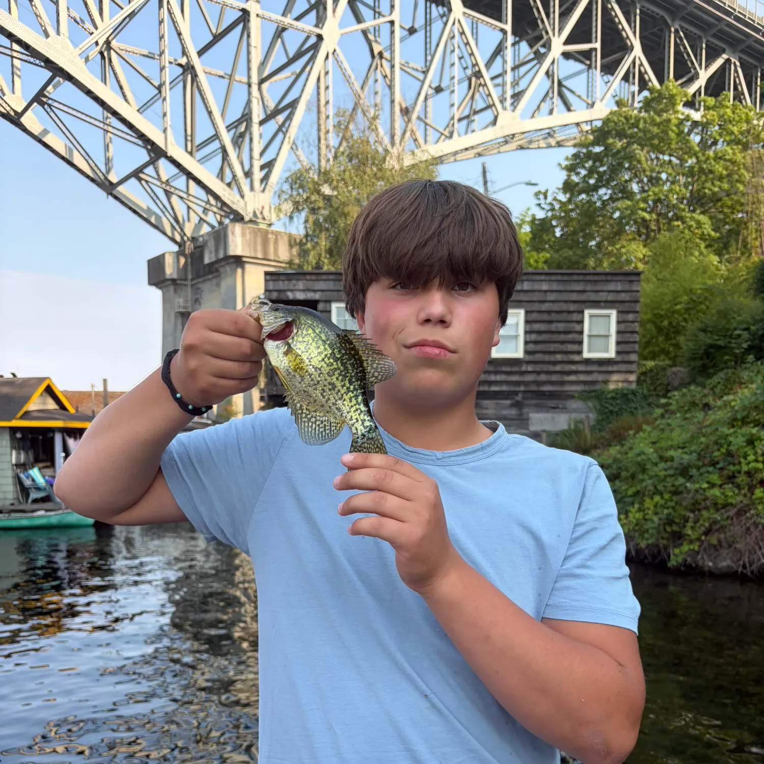 Black crappie caught on Fishbrain