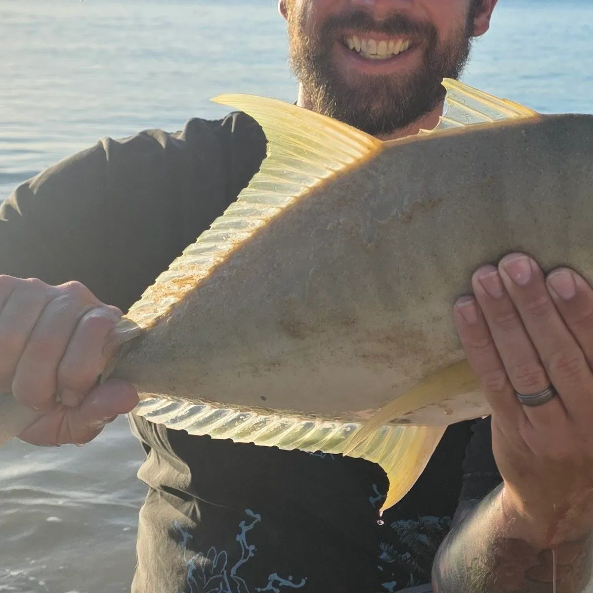 The most recent Golden trevally catches on Fishbrain