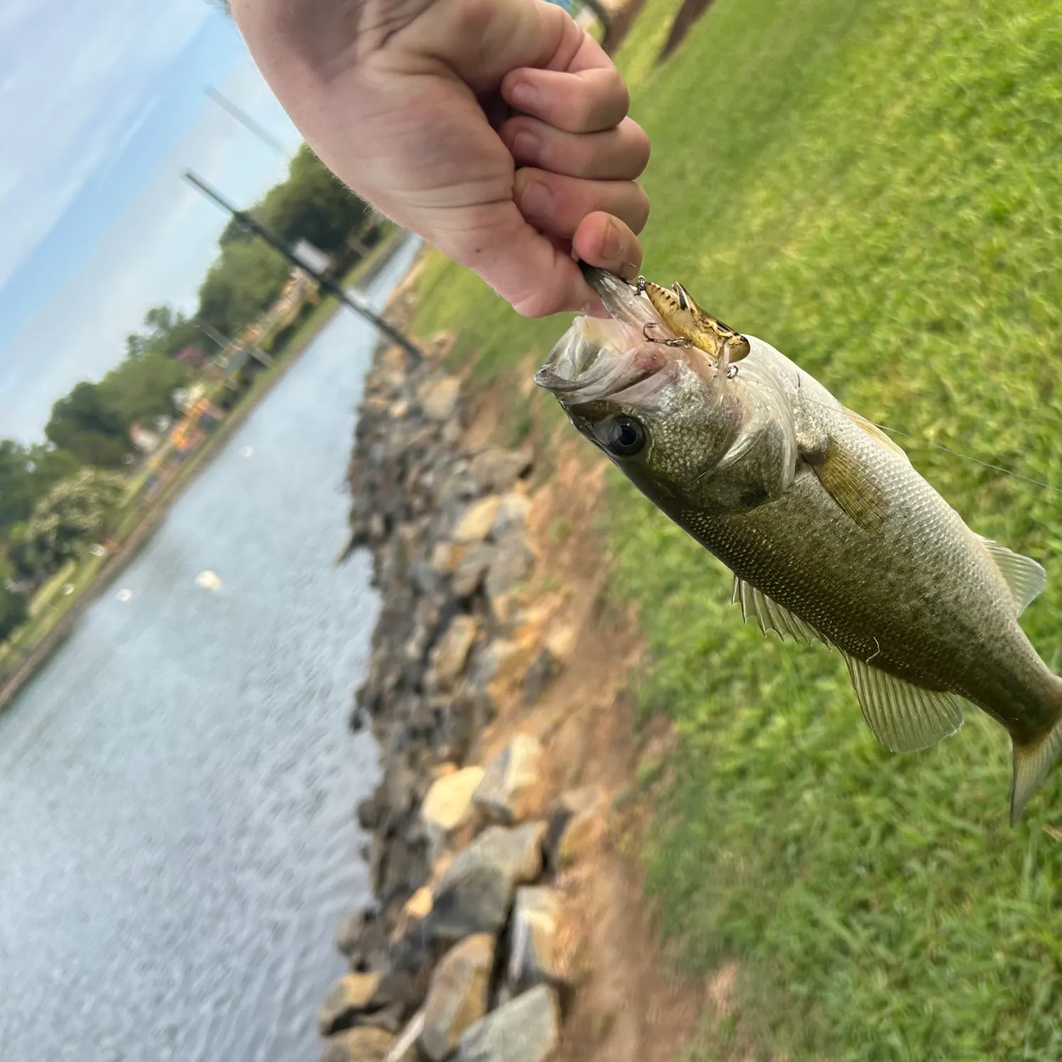 catch