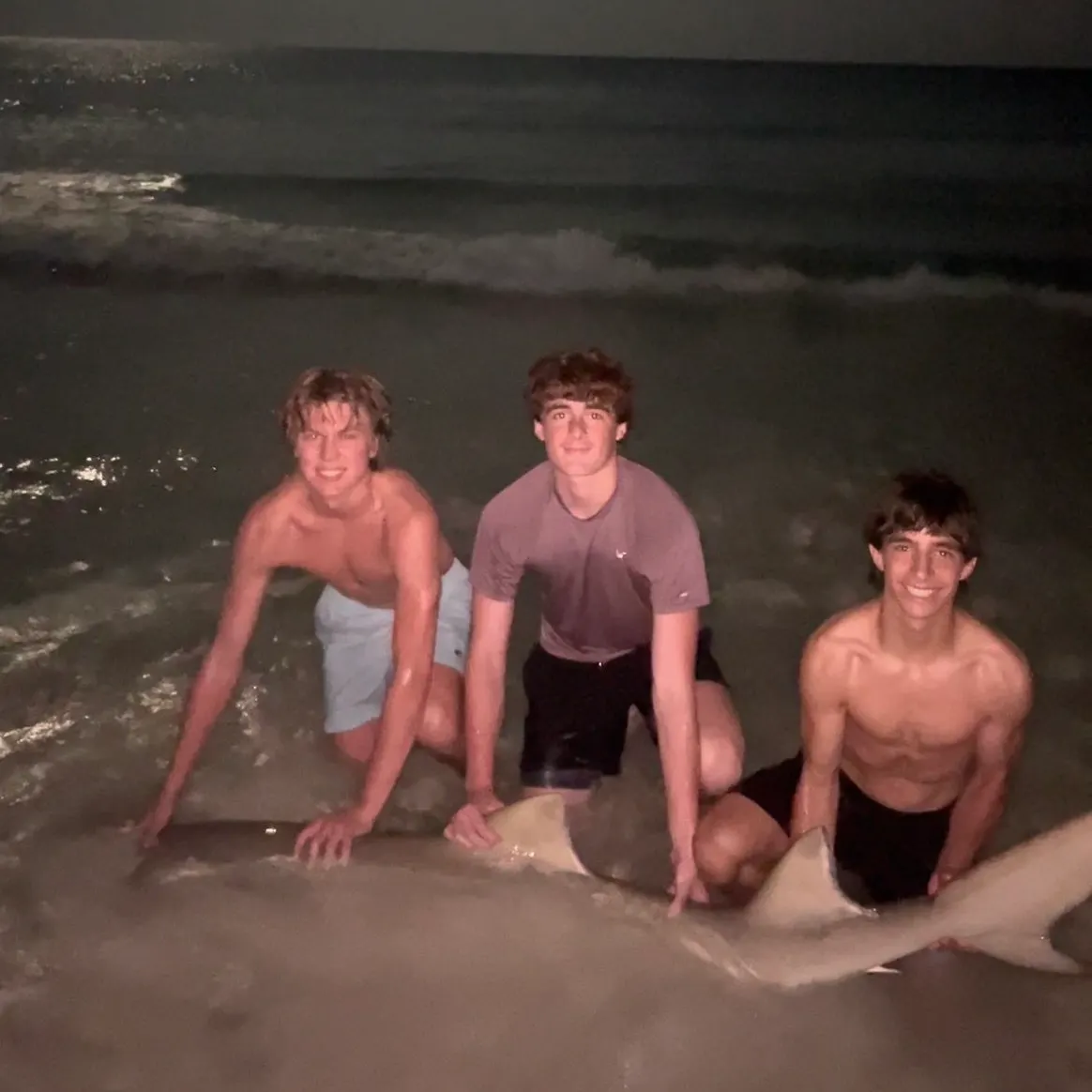The most recent Lemon shark catches on Fishbrain