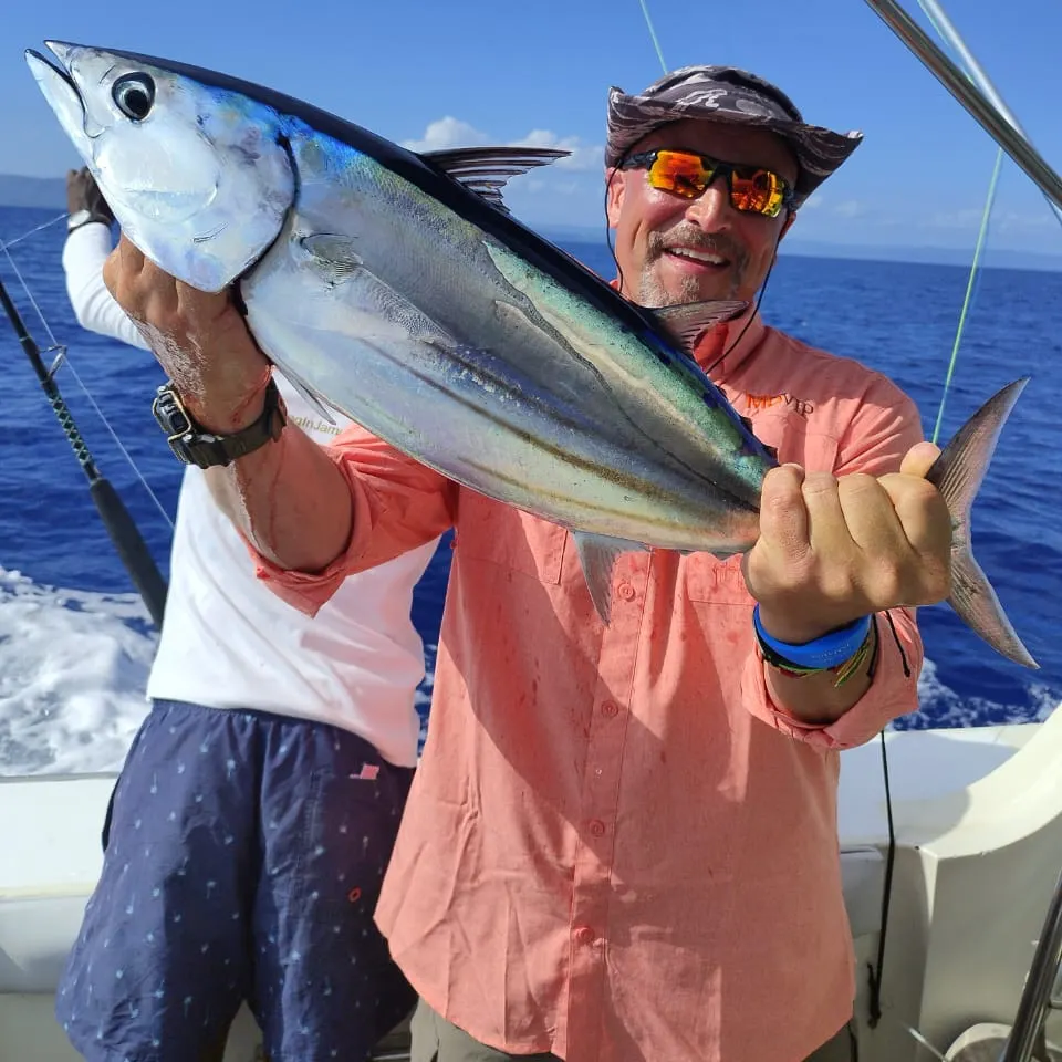The most recent Skipjack tuna catches on Fishbrain