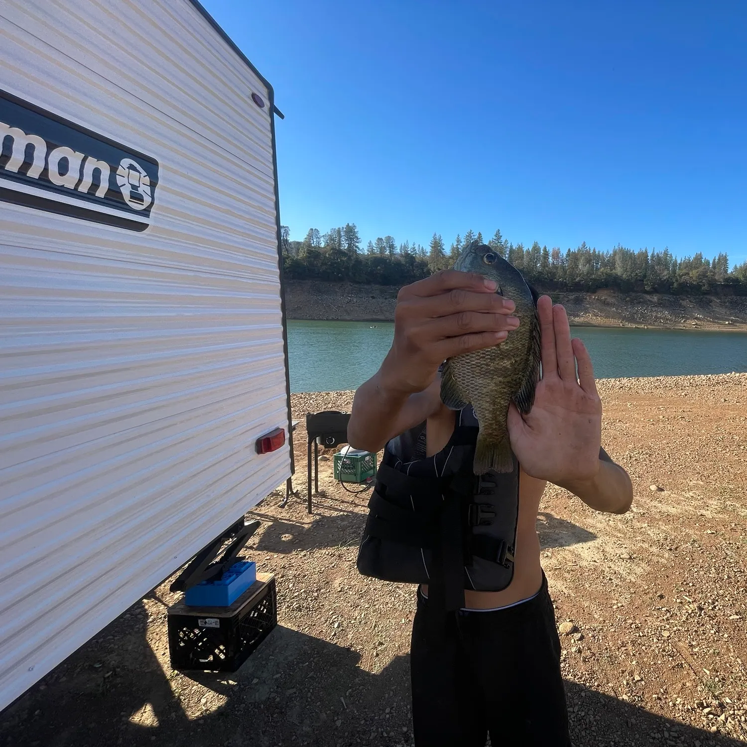 Bluegill caught on Fishbrain