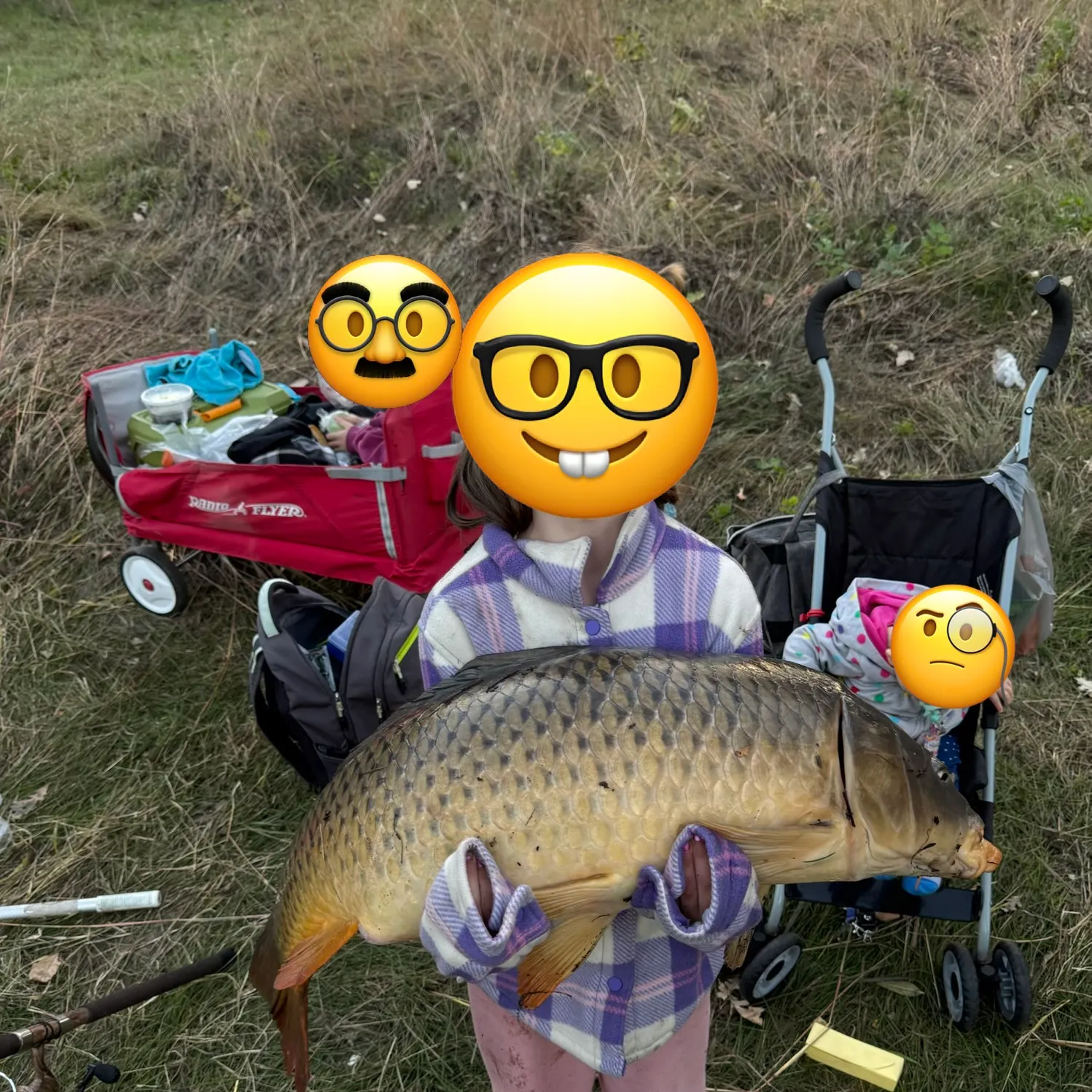 Common carp caught on Fishbrain