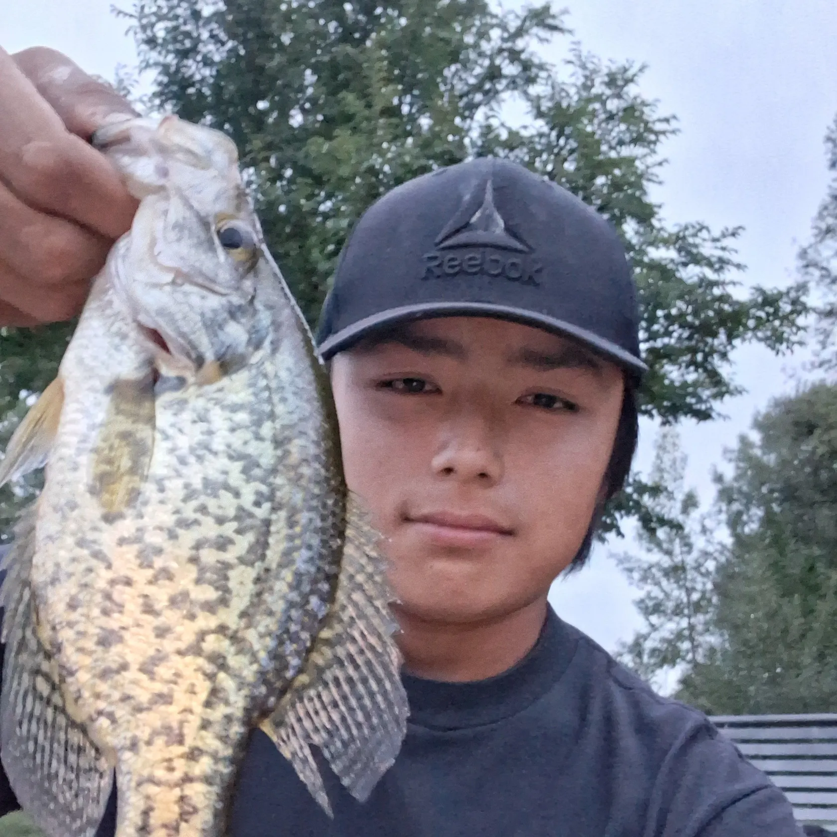 Black crappie caught on Fishbrain