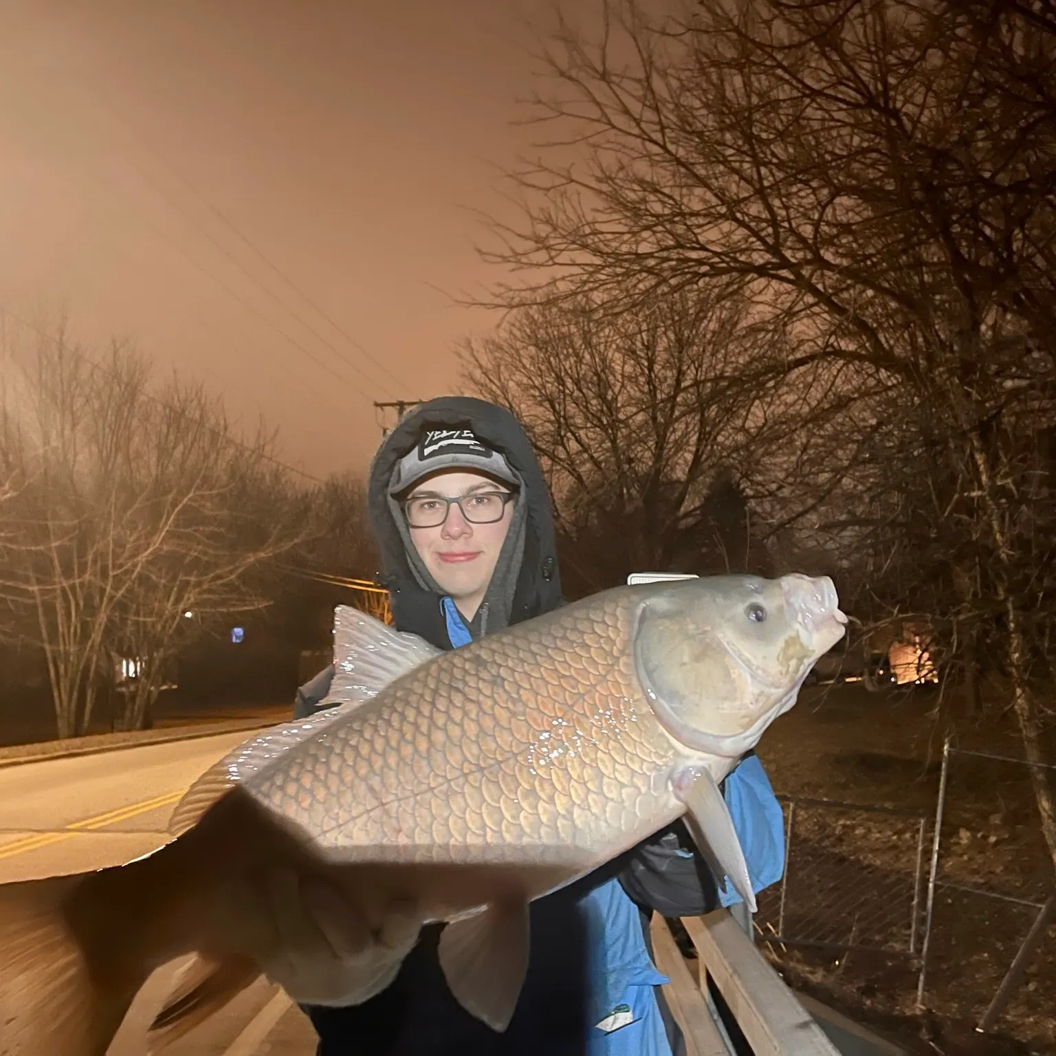 The most recent Bigmouth buffalo catches on Fishbrain