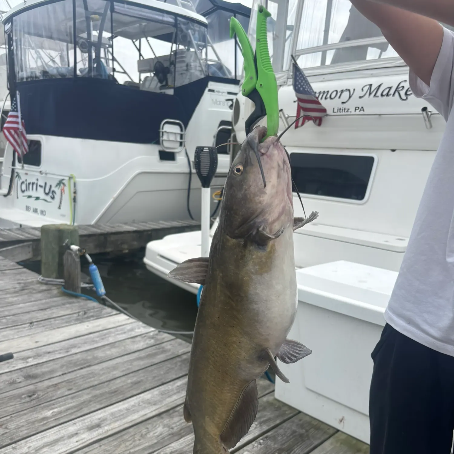 recently logged catches