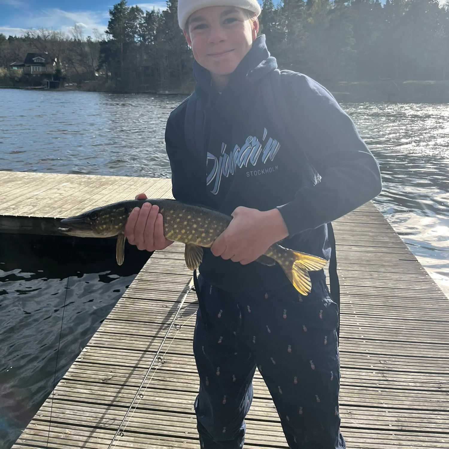 The most recent Northern pike catches on Fishbrain