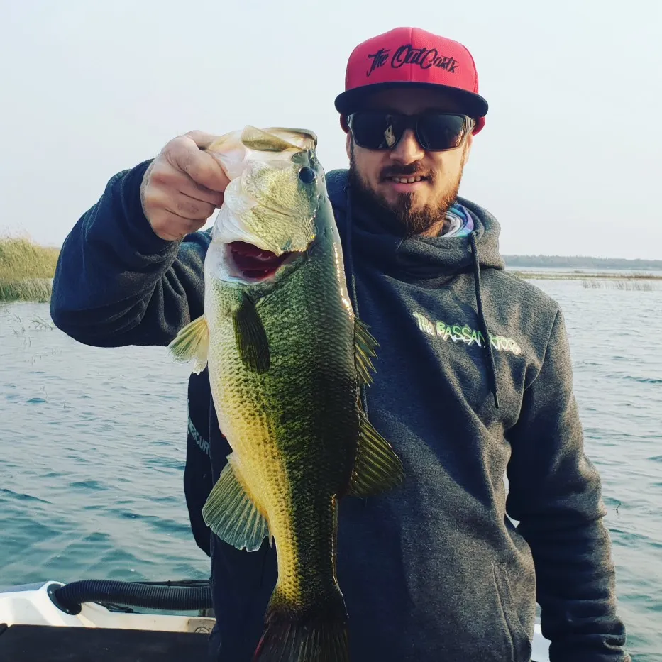 Post image from MEbassanator